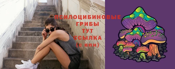 мяу мяу мука Белокуриха