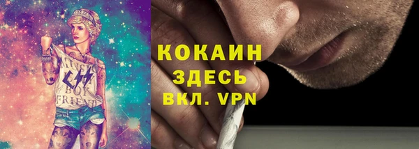 мяу мяу мука Белокуриха